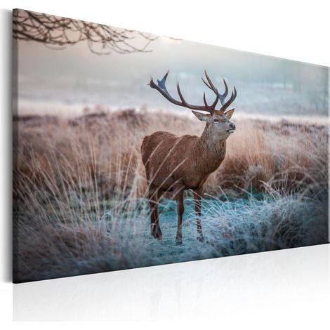 Quadro - Wild Animal - 120x80 (1/4)
