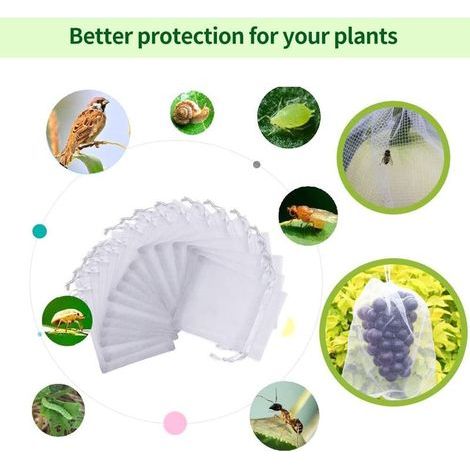 Bleu émeraude Sac de Protection de Raisins, 100Pcs Sac de Protection de Grappes, 20 x 30 cm, Sachets de Protection pour Plantes, Sac en Organza avec Cordon de Serrage pour Fruits (1/4)