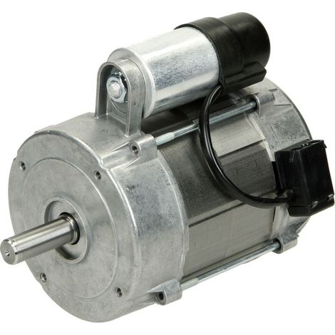 Moteur 250 W