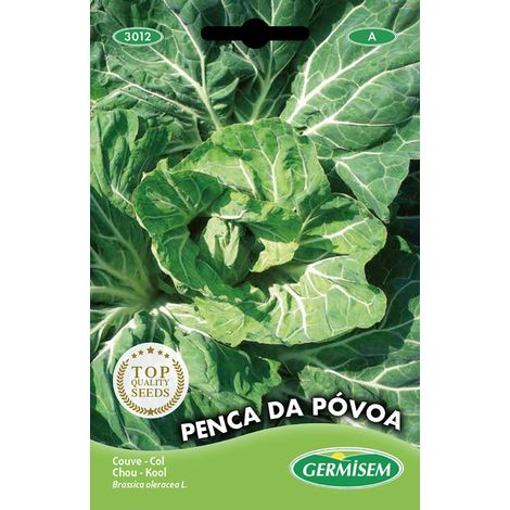 Graines Chou PENCA DA PÓVOA