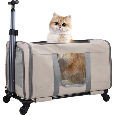 Passeggino per gatti, supporto con ruote rimovibile, cinture di sicurezza regolabili, color kaki (1/2)