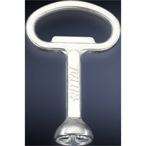 Rittal HD 2549600 Chiave per armadio elettrico Doppio pettine Acciaio 1 pz.
