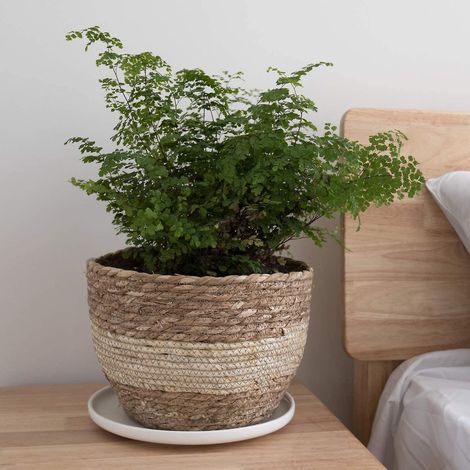 Set aus 3 natürlichen Seegras-Blumentöpfen, Körben für Zimmer- und Gartenpflanzen