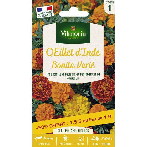 Œillet d'Inde Bonita Varié Vilmorin