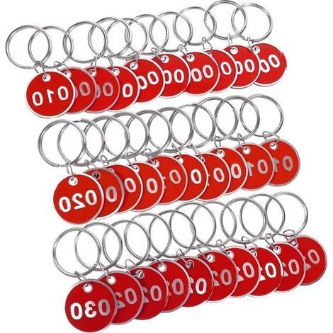 Schlüsselanhänger aus Stahl – Metallnummern – Kennzeichnung – Korrosionsbeständig – 100er-Packung – Silber (1/5)
