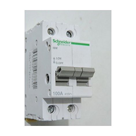SCHNEIDER ELECTRIC - SCHNEIDER SECCIONADORES 100 A 2P A9S60291, RATINGEN A9S65291