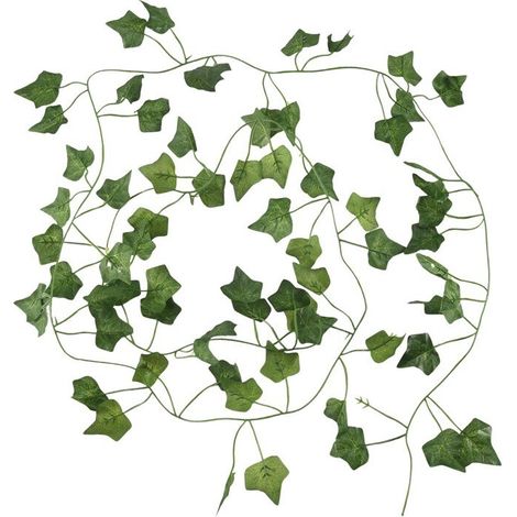 Las enredaderas de patata de 2 metros de largo se pueden utilizar para decorar muebles son verdes. (1/5)