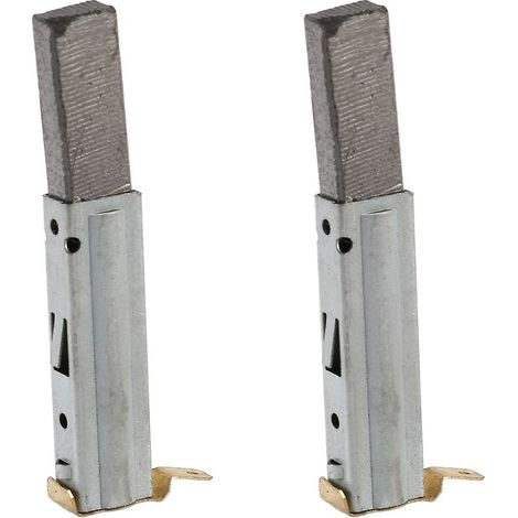 Balai de charbon de moteur d'aspirateur universel de 2 pièces pour Baiyun,BF501,BF502,BF822 (1/5)