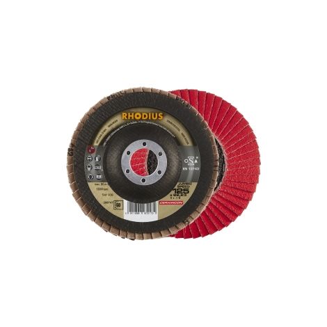 Lamellenschleifscheibe Ø 125 mm K60 10 Stück. (1/2)