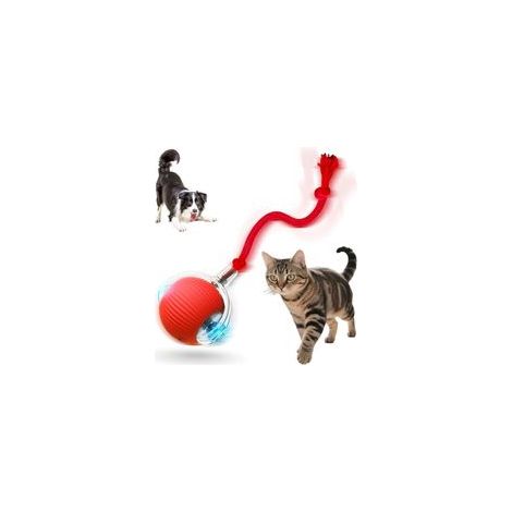 Interactive Cat Toys for Indoor Cats, 2025 New Motion Activated Cat Balls with 360° Smart Automatic Rolling Moving for Bored Pet Cats Dogs (Red) (1/5)