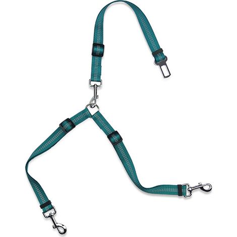 Mousqueton et clip double pour collier à pointes, collier étrangleur et harnais pour chien, utilisation en toute sécurité (1/5)