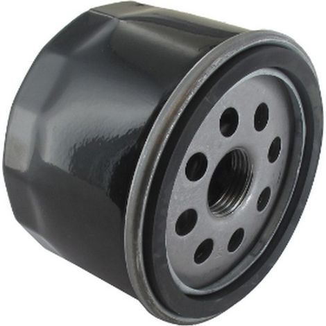 Filtre à huile autoportée moteur Briggs et stratton - 798576, 795137