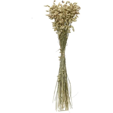 Kaemingk Trockenblumenbund Zittergras-Briza Ø 14 cm 55 cm - Bund