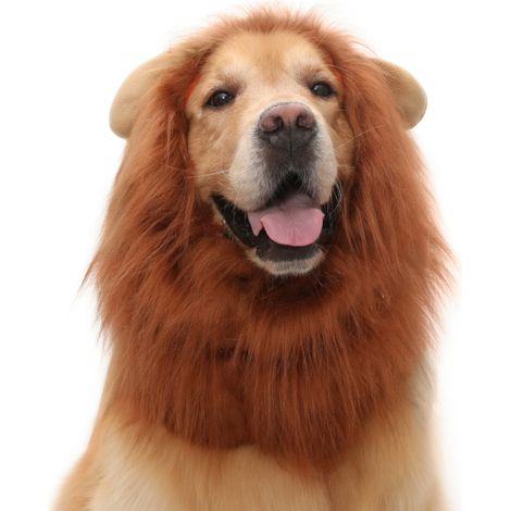 Disfraz de león para mascotas marrón M x 3 modelo 14