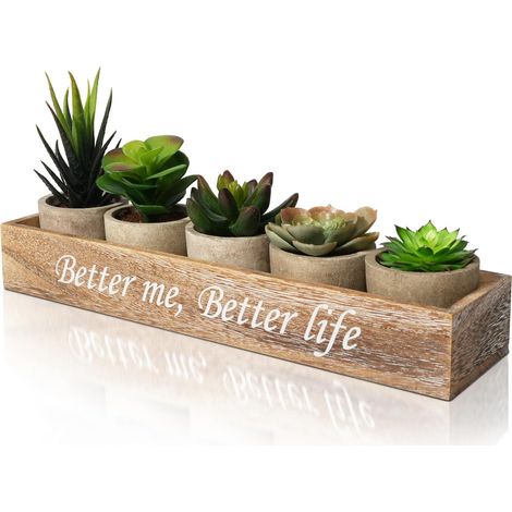 Set Succulentes Artificielles avec Plateau en Bois Naturel Plantes Grasses Réalistes sans Entretien Décoration Maison Bureau Salle de Bain Cadeau Déco (1/5)