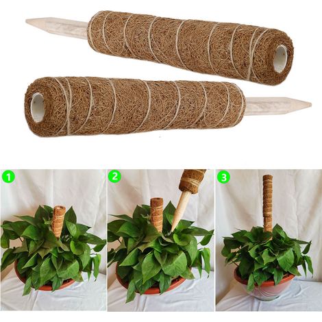 Lot de 3 tuteurs pour plantes grimpantes, palmiers cocotiers (1/5)