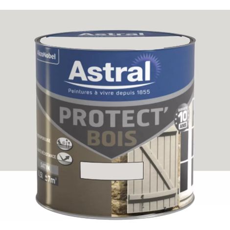 Peinture Bois ASTRAL Protect'Bois Atmosphère 0,5 L (1/4)