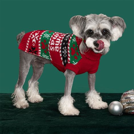 Pull-over Chien - Col Roulé Élastique - Tricot Doux Coton Polyester - Pour Chiens Petits Moyens Grands - Rouge - Taille M (1/4)