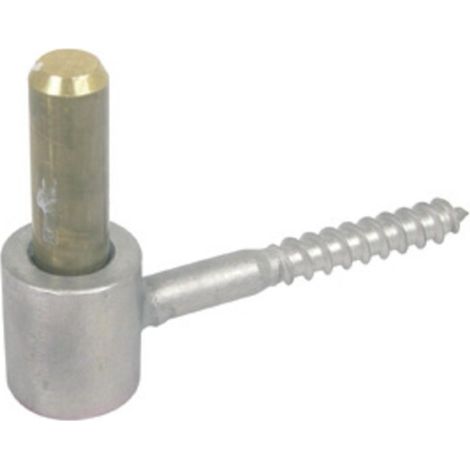 Gond à vis bois diamètre 10 x L 75 mm en inox 316 passivé axe laiton diamètre 16 - TORBEL INDUSTRIE