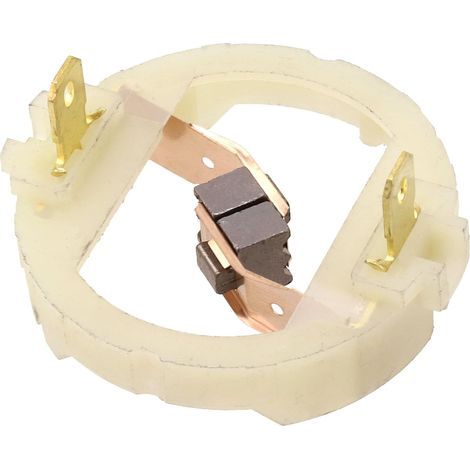 Kohlebürste für Parkside PWSA 20 Li C3 / PWSA 20 Li B3 / PWSA 20 Li B2 Motor RS897 RS895 RS875 RS887, für Lithium-Akku-Bohrmaschinenmotoren