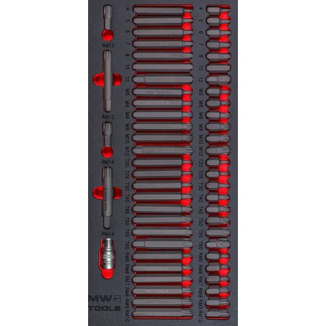 Mw Tools – Jeu d'embouts automobile Ribe- Spline- HEX- TORX 59 pièces – Module de servante – 16 embouts de Ribe 30/75mm – 12 embouts cannelés 30/75mm – 14 embouts hexagonaux 30/75mm – 16 embouts Torx 30/75mm – Adaptateur ½ x 10mm Hex – MWBIT59