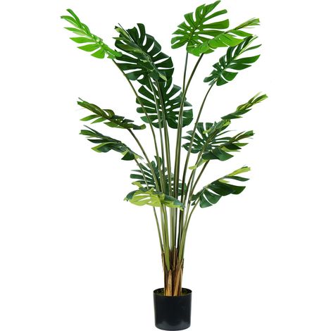 King Home pianta MONSTERA H. 170 cm 16 FOGLIE completa di vaso con muschio