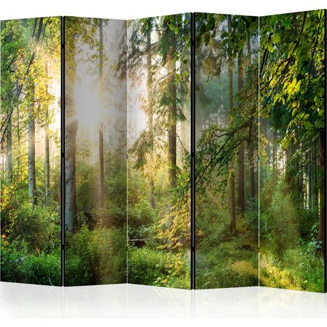 Paravento - Untamed Nature II [Room Dividers] - 225x172 (1/4)