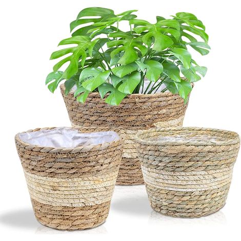 Juego de 3 cestas de mimbre vintage para plantas, cestas de flores tejidas a mano (1/5)