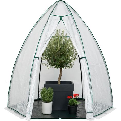 Westmann Tente d'hivernage & serre en film plastique Menthe Blanc 200x200x200 cm (1/5)