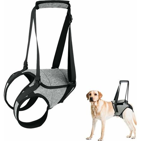 Arnés grande para perros con asa de elevación. Ajustable para sujetar las patas traseras. Tejido de poliéster resistente. Para la recuperación y la movilidad. (1/5)