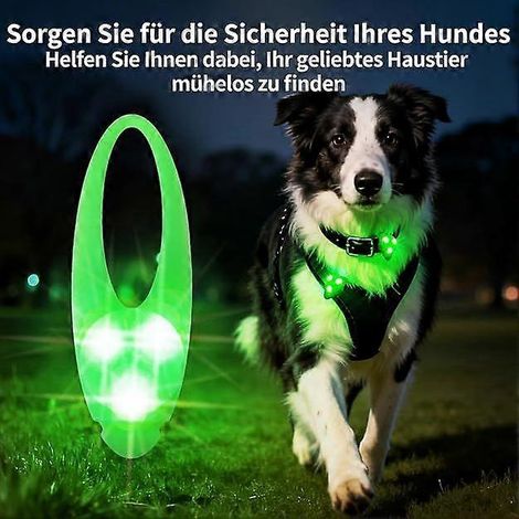 Pendentif pour collier de chien, lumière LED clignotante de sécurité en silicone souple et étanche, idéale pour les activités sportives et les promenades en extérieur (8 x 2,5 cm). (1/4)