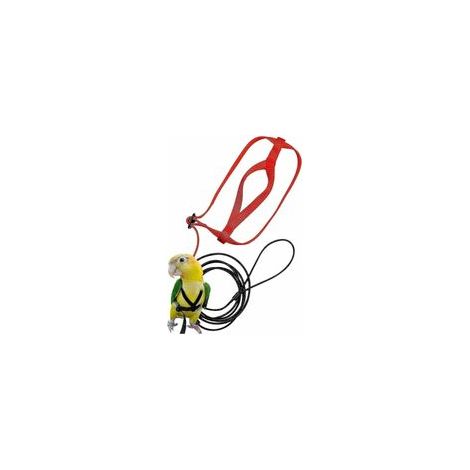 Harnais d'oiseau réglable avec laisse, perroquet, anti-morsure, extérieur, XS –