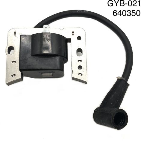 Hochspannungsspule 640350, Motorzündspule/Halbleitermodul, Ankermagnet GYB-021 (1/4)