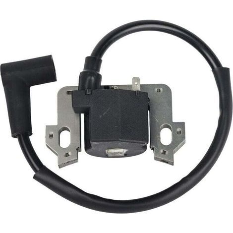 ZVD Module de Bobine D'allumage Compatible avec Honda GCV135 GCV160 GCV190 GSV160 (1/4)