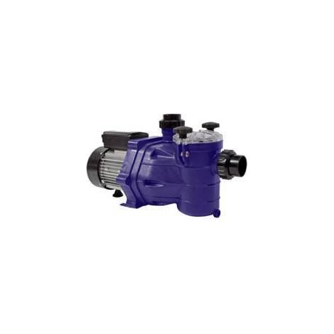Pompe Eau PPE 0,56 CV Monophasé 13 m3/h - Entrée de Gamme - Fiable et Performante - D-Work (1/2)