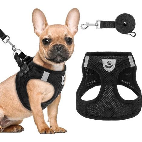 Welpengeschirr & Leinenüberzug - Weiches Mesh-Hundegeschirr, reflektierend & verstellbar (Schwarz XS, 1 Stück) (1/5)