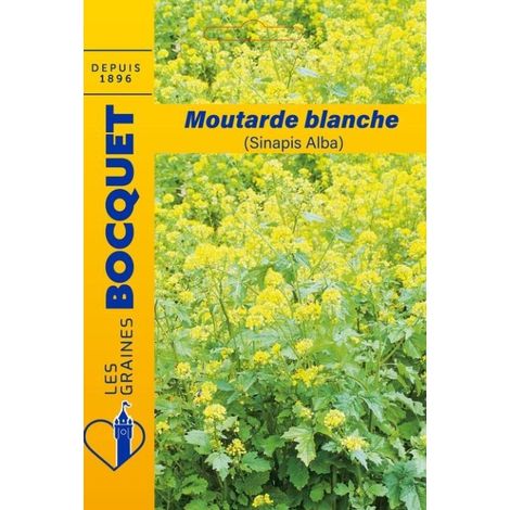 Moutarde blanche (Sinapis Alba) - 100g