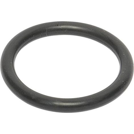 Junta t贸rica 31,5x4,25 AR LEMKEN R001063