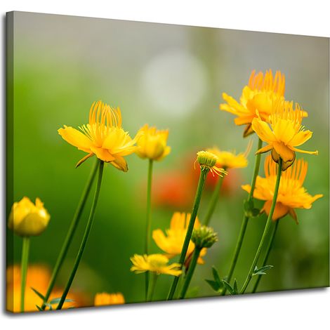 Stampa su tela Botanica Fiori gialli 100x80 cm