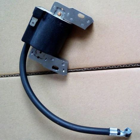 Bobine d'allumage haute tension et allumeur pour 398593 496914 591420 793281 793295 compatible. (1/2)
