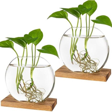 Set da 2 contenitori in vetro per coltivazione idroponica, fioriere rotonde con supporto in legno, terrari decorativi per casa e ufficio (marrone) (1/5)
