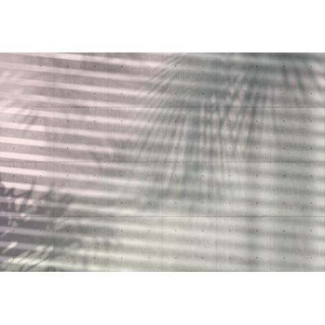 Komar Vlies Fototapete Shadow 368 x 248 cm Fototapeten & Poster (1/3)