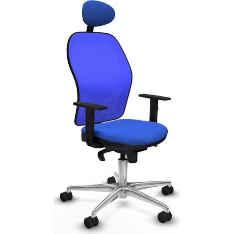 Piqueras-y-crespo Jorquera Ergonomischer Bürostuhl Blau (1/3)