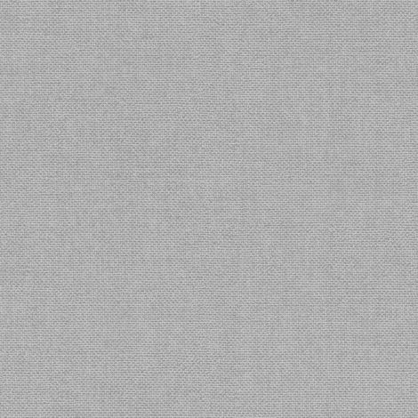 Papier peint intissé Rasch Color Your Life 312157, uni, gris, 10,05 x 0,53 m, pour salon, chambre, cuisine, couloir ou entrée. (1/3)
