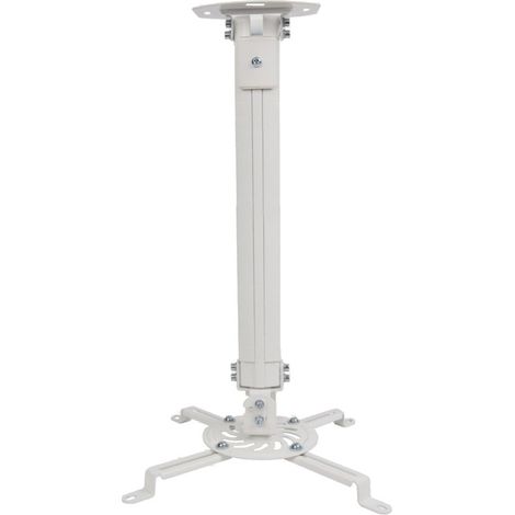 Techly ICA-PM 18S Projektorhalterung Decke Silber (1/5)