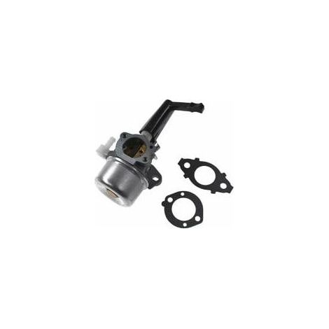 Ersatz Briggs & Stratton Pinnenvergaser 696065 mit Dichtungssatz (1/5)