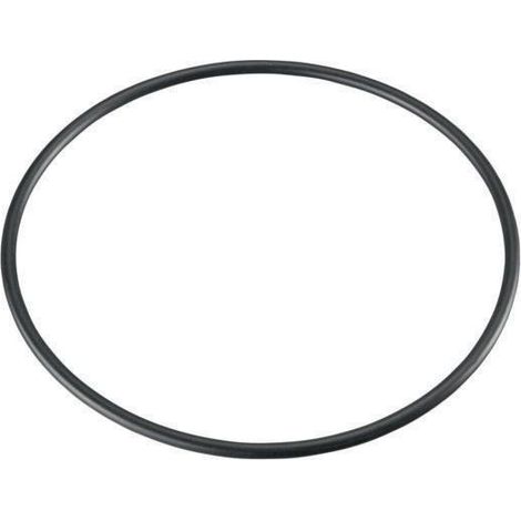 OVENTROP O-Ring zur Abdichtung zwischen Filtertasse und Filterkopf, 2126500