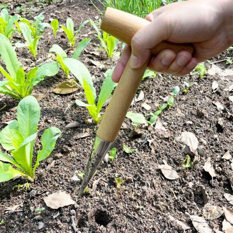 Poinçon de jardinage - Forme en T Poignée en bois - Plantation et fertilisation (1/5)