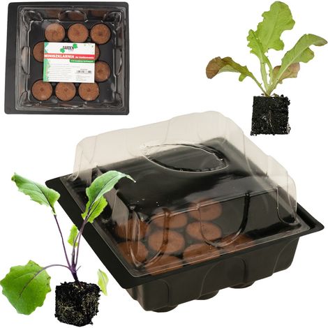 Mini invernadero EDA8549 para germinación, brotador de plántulas, 12 celdas + discos (1/5)