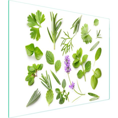 Tagliere in vetro 52x30 piante (1/5)